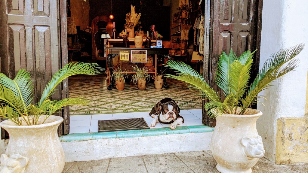 This image has an empty alt attribute; its file name is pxl_20210225_232721347_original.jpg