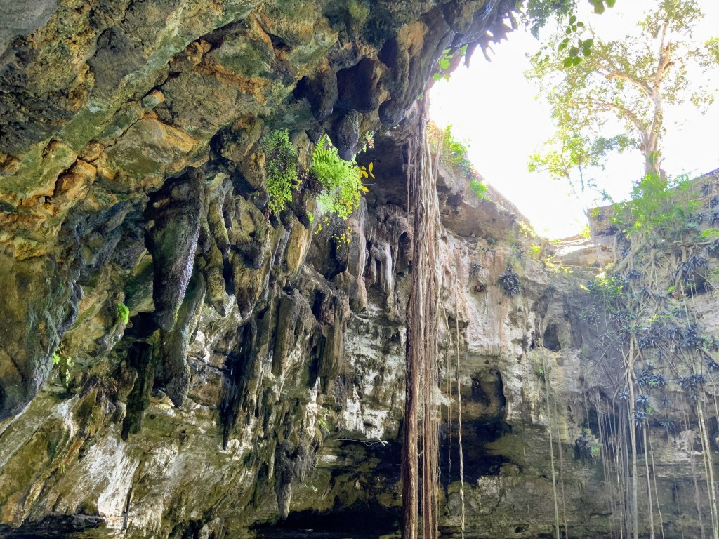 This image has an empty alt attribute; its file name is img_0498.jpg