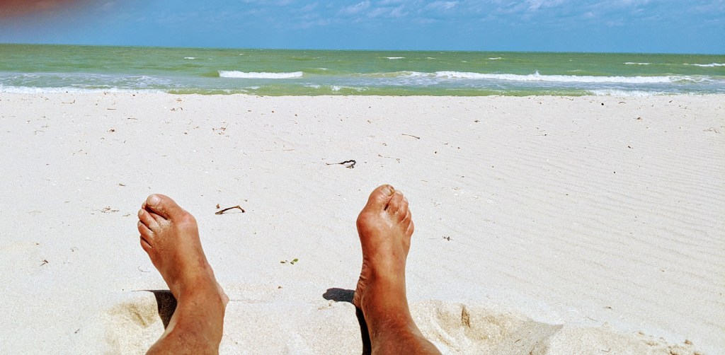 This image has an empty alt attribute; its file name is original_691bf3c3-d63d-4b77-a391-3207a0469a26_pxl_20210308_165810686_original.jpg