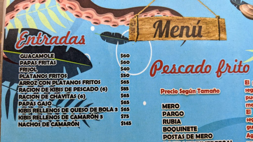 This image has an empty alt attribute; its file name is pxl_20210307_002225319_original.jpg